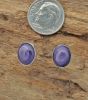 Small Oval Wampum Studs