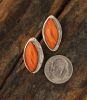 SPINY OYSTER POST EARRINGS