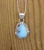 GOLDEN HILL TURQUOISE NECKLACE